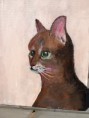 /album/fotogalleri/katt-i-jpg1/